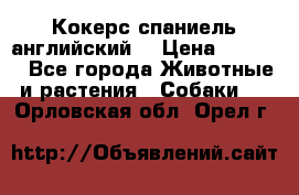 Кокерс спаниель английский  › Цена ­ 4 500 - Все города Животные и растения » Собаки   . Орловская обл.,Орел г.